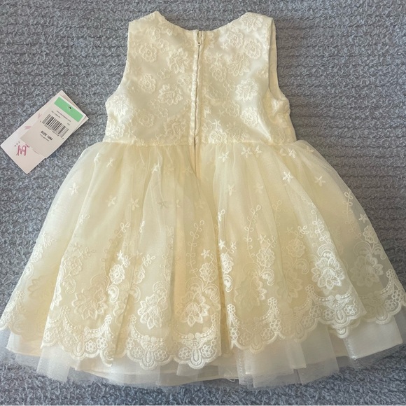 Sleeveless Embroidered Mesh Ribbon Dress - Picture 2 of 2